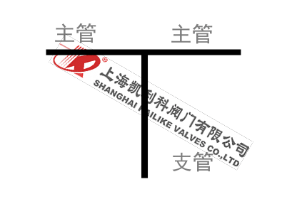 不銹鋼T型過(guò)濾器管路支管圖